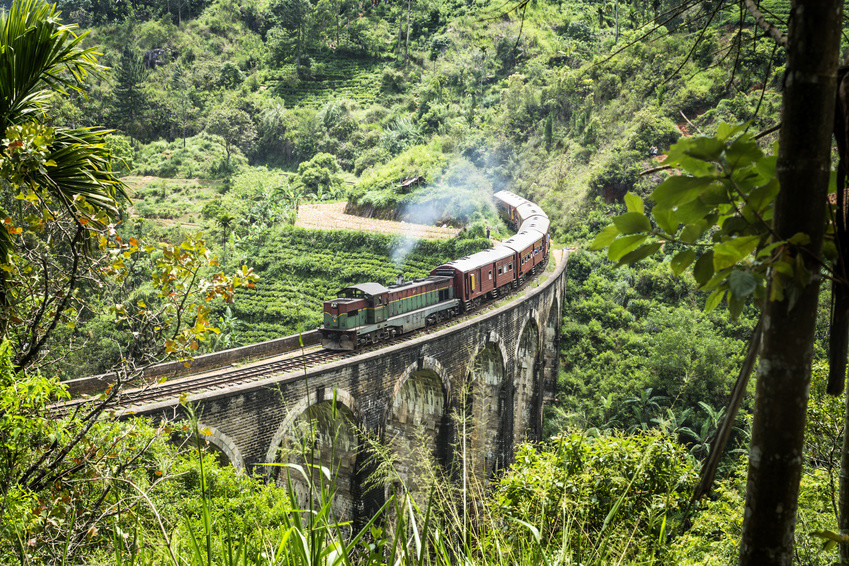 Sri Lanka – wakacje w środku zimy