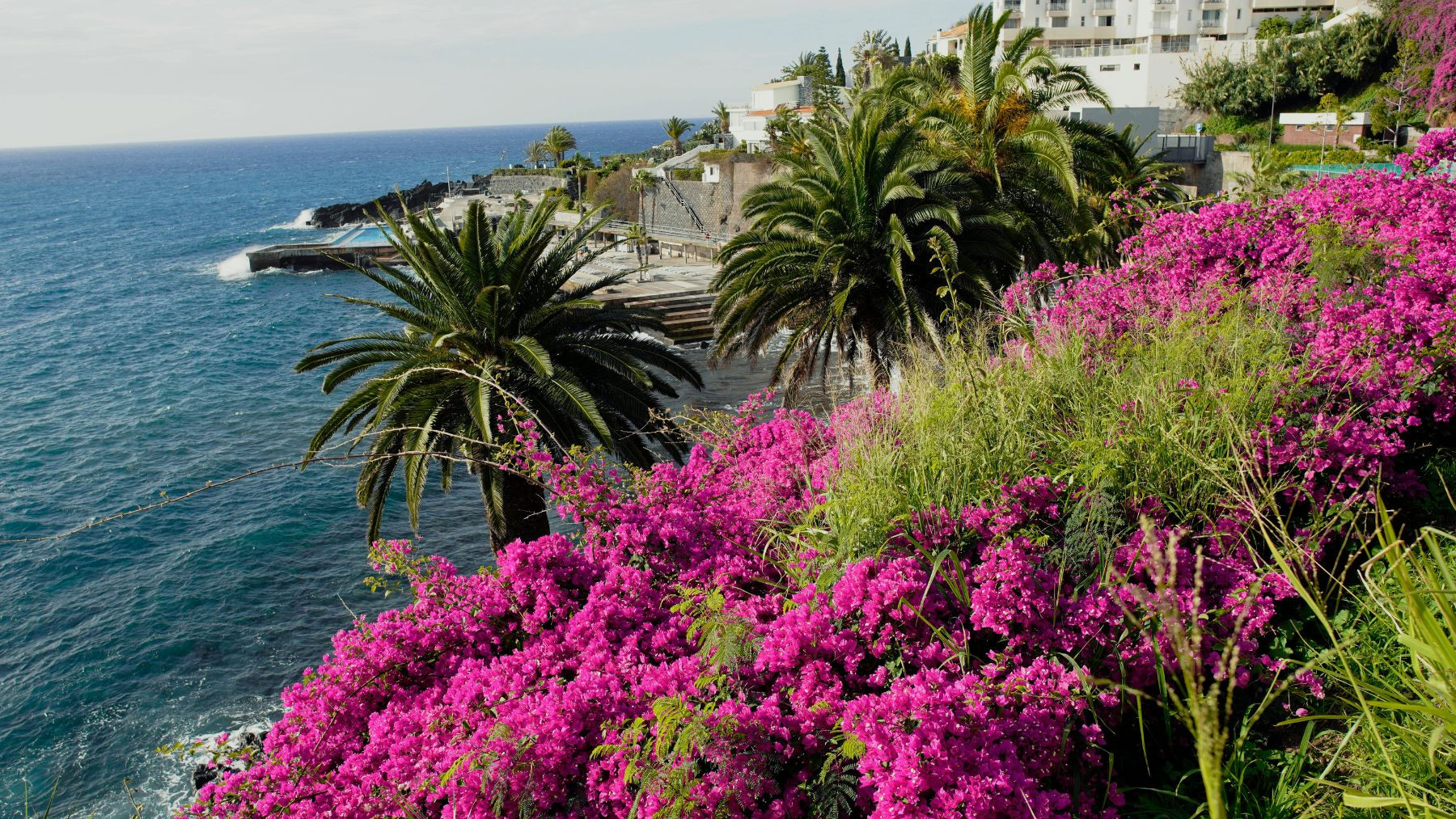 Madera last minute z Niemiec