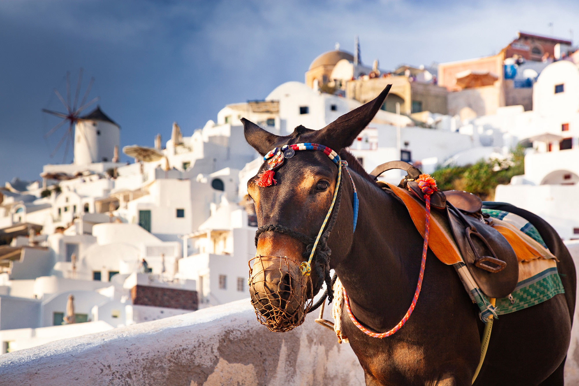 Organizacja wakacji na Santorini 