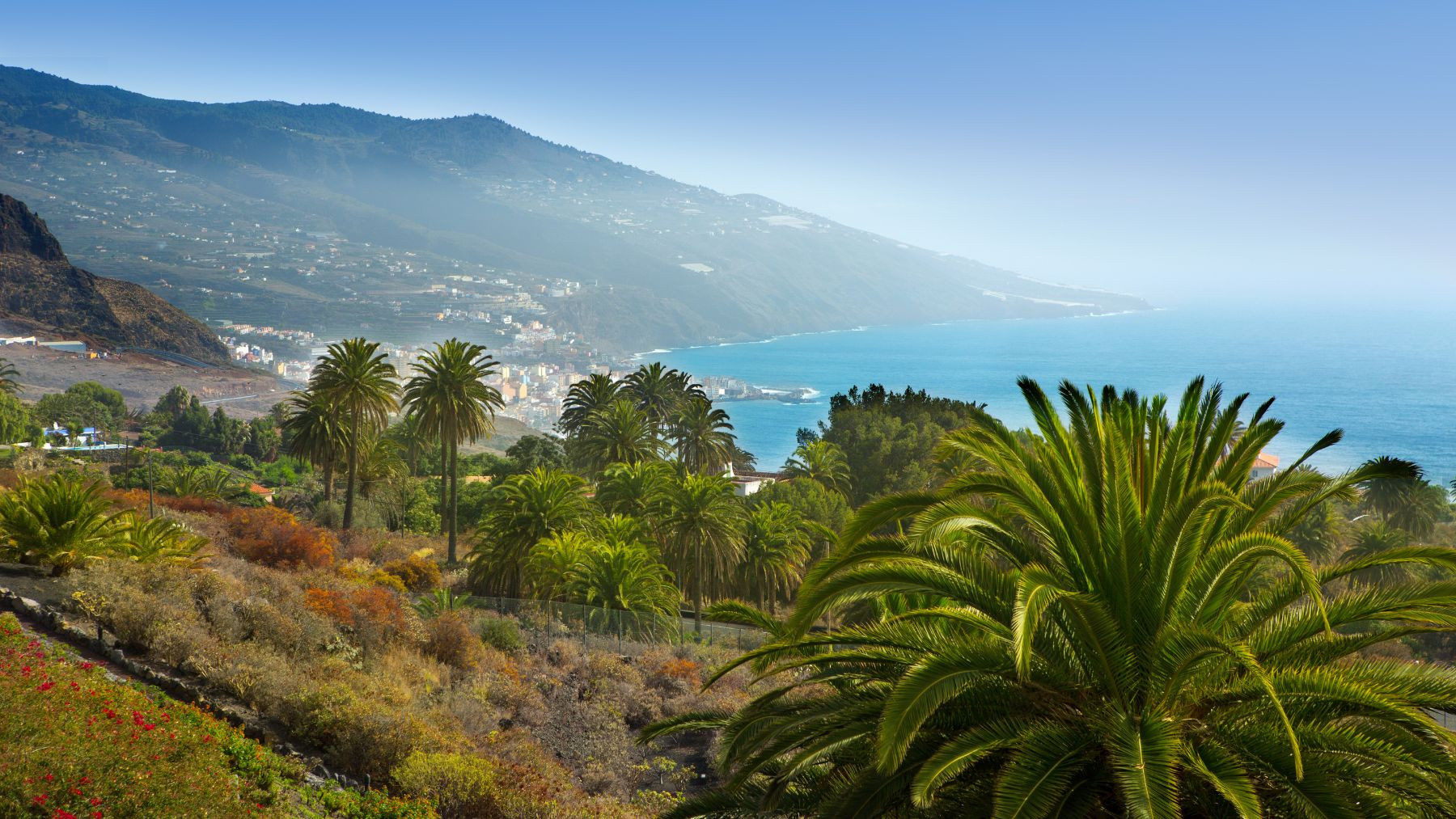 last minute na La Palma