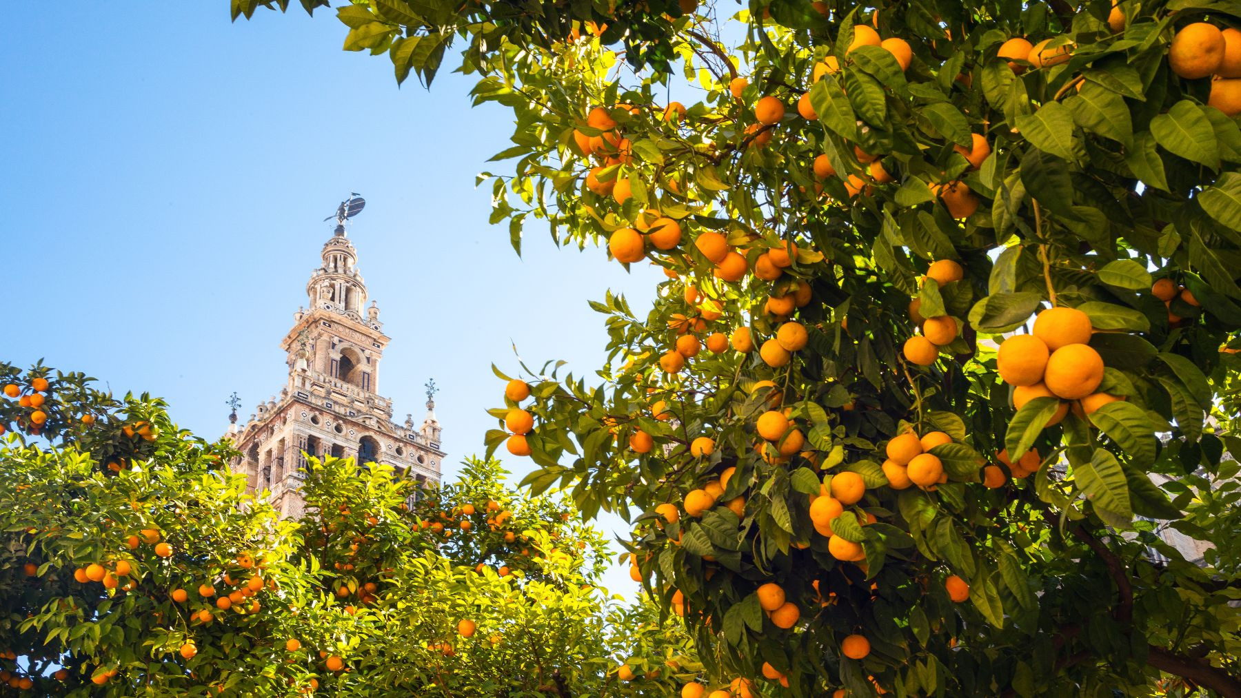 Andaluzja last minute